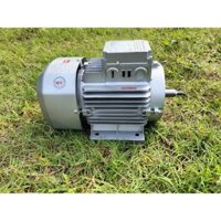 Mô tơ động cơ điện 1 pha tua nhanh 2900v/p dây đồng 100% bảo hành 12 tháng