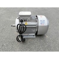 Mô tơ động cơ điện 1 pha 1,5kw, 2900 vòng/phút dây đồng chính hãng