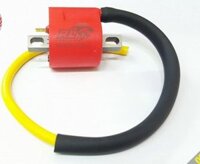 Mobin sườn độ xe Winner