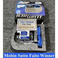 Mobin sườn Faito cho Winner TanthanhPT
