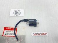 Mobin sườn – Sonic, Winner, GTR