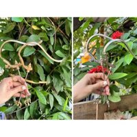 Móc chống xoay triện - ti hồ lô - Lắp lồng chim chào mào