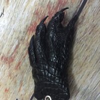 Móc khoá bàn tay da cá sấu