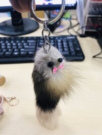 Móc khóa chồn