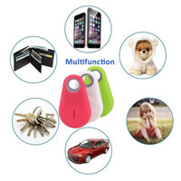 Móc khoá Định Vị (Anti Lost/Theft Device - Self Portrait)