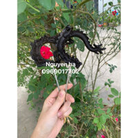 móc lồng chim khuyên mun đục cnc