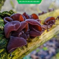 Mộc Nhĩ Khô Tây Bắc loại đặc biệt