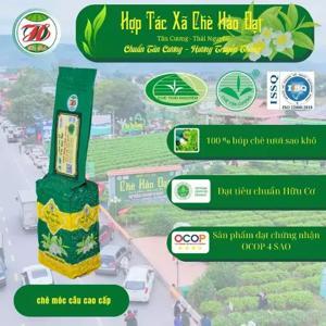 Móc treo tường đôi HTX