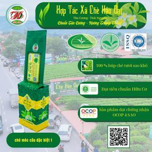 Móc treo tường đôi HTX