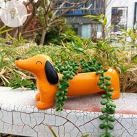 Mod Chậu Vườn Dachshund, Chậu Nhựa Cho Chó, Chậu Trồng Cây Không Khí Mini Puppy, Chậu Hoa Cây Nhỏ, Chậu Hoa Cây Cảnh Dễ Thương Cho Sân Vườn Nhà Văn Phòng Trang Trí Máy Tính Để Bàn VN
