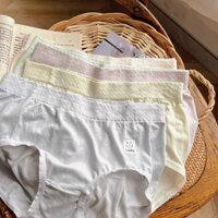 Modal Dành Cho Mèo ~ Mặt nạ Mỏng Đàn Hồi Cao Quần Lót Khỏa Thân Cho Nữ Giữa Eo hông Thoáng Khí Cotton Đáy Quần Đùi Nữ