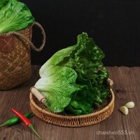 Model mới rau củ quả nhân tạo, mô hình rau diếp, tủ bếp gia đình, đạo cụ chụp ảnh gia đình, trang trí lá rau diếp xanh