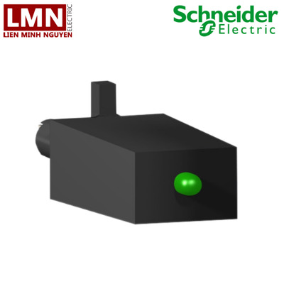Module bảo vệ Schneider RZM021RB