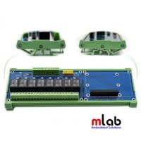 Module Relay 8 kênh cho Raspberry Pi