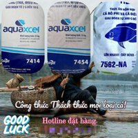 Mồi Câu Cá Cám Cá Xay 1kg 7414, 2kg 7454, 2kg 7562, 0.5kg Cám Cốt Vàng Cám Câu Cá Tra Mồi Câu Cá Chép