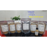 Mồi câu cá chép, diếc số 10 *Thính dụ cá - Mồi câu ngũ cốc - Bột tạo sợi *