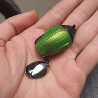 mồi câu lure v5 siêu nhậy hàng chính y hình giá rẻ can cau 24h 8hd7dgdj