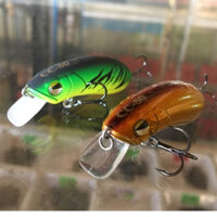 Mồi giả CC 50 - Lurefans