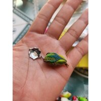 mồi giả nhái hơi câu cá lóc mini, dài 2,5cm , nặng 5g chính hãng