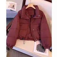 [Mới hôm nay] Áo bông cổ đứng dáng ngắn đơn giản trẻ trung ngọt ngào, Áo bông dài tay được ưa chuộng năm nay Phong Cách Thành thị, Áo khoác mùa đông dáng nhỏ dễ phối kiểu tây kiểu mới cho nữ, áo khoác dày phong cách Hàn Quốc sành điệu Instagram