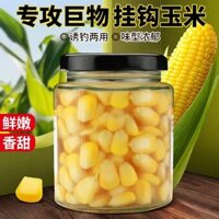 Mồi ngô tươi ngọt mềm chuyên dùng làm mồi câu cá trắm cỏ miệng hếch Lưỡi câu là mồi hạt ngô đặc biệt dùng để câu cá lớn. mồi câu cá rô phi mồi câu cá trê sông