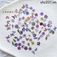 Mới Siêu Mỏng Gỗ Bột Chip Lá Khô Phụ Kiện Làm Móng Tay Hỗn Hợp Hoạt Hình Dễ Thương Nhiều Màu Sắc Trang Trí Móng Tay Miếng Dán