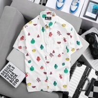 [Mới T1] Áo Sơ Mi Tay Ngắn Phong Cách Tết 2024 - Local Brand TB KINGKONG SPORT WEAR