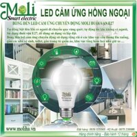 MOLI - ĐÈN LED CẢM BIẾN CHUYỂN ĐỘNG HỒNG NGOẠI