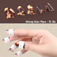 Móng Gảy Đàn Pipa - Tỳ Bà Chất Lượng Tặng Kèm Băng Keo{AP-MusicBN}