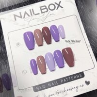 móng giả nail box