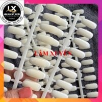 Móng xương cá đục tập sơn mẫu, đính bảng màu