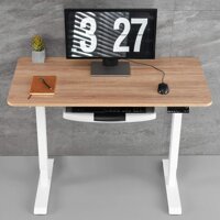 MONOMI Electric Height Adjustable Standing Desk, 48 x 24 inches Stand up Desk Workstation, Sit Stand Home Office Table (Oak Top/White Legs)