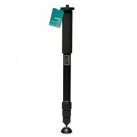 Monopod Benro A38T