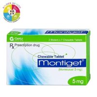 MONTIGET 5MG
