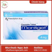 Montiget Chewable Tablet 4mg