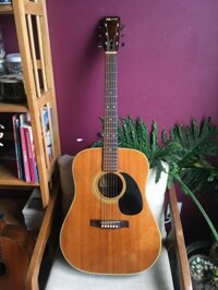 Morris Luthier W-18 1970 Acoustic Guitar