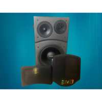 Một cái Loa lẻ karaoke BMB Bass 20/25 giá rẻ