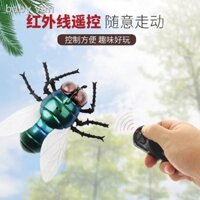 ☋∋◎Một loạt các mô phỏng côn trùng bay điều khiển từ xa hồng ngoại ruồi gián mô hình nhện điện côn trùng mới lạ đồ chơi