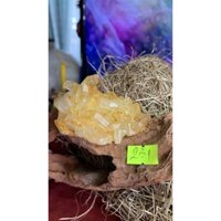 Một mẫu đá stone Natural đá stone Natural Thạch Anh vàng citrine lemurian Nga Natural  231