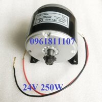 Motor 12V 250W,motor 24v 250w chế thuyền chế xe, động cơ 12v 250w, động cơ 24v 250w