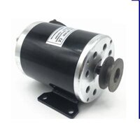 Motor 12V 500W 24V 500W 24V 800W độ kèn hơi các loại, động cơ máy nén khí, động cơ 12v 500w, động cơ 24v 800w