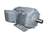 Motor 3 Pha Chân Đế 1HP TFO-K-4P
