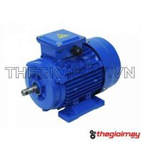 Motor 3 pha Toàn Phát 0.75 kW 3000 vòng/phút