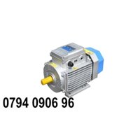 Motor 3.5 KW - 4.7 HP ( Tốc chậm ) Bảo hành 1 năm lỗi 1 đổi 1