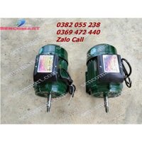 Motor 750w Toàn Phát điện 220v vòng tua 2900v/p