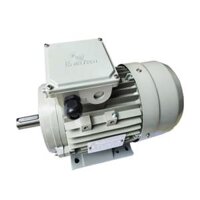 Motor chân đế Enertech ESA 0.16HP 2Pole 380V 3pha