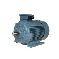 Motor chân đế SGP 250M 37KW 6Pole 380V
