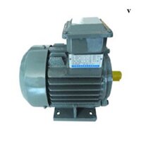Motor điện 3 pha – 10HP/2Poles-Chân Đế