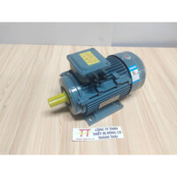 Motor Điện 3 Pha 0.37KW 0.5HP 4 Poles chân đế 0909.539.175