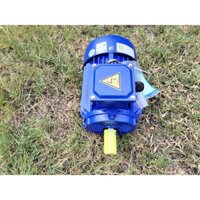 Motor điện 3 pha 3kw(4hp) tua nhanh 3000v/p chính hãng Toàn Phát